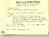 登錄號:F0000968藏品圖，第2張