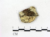 登錄號:F0000970藏品圖，第1張