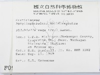 登錄號:F0000971藏品圖，第2張