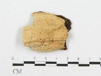 登錄號:F0000971藏品圖，第3張