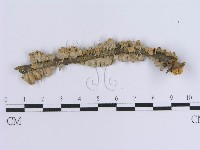 登錄號:F0000973藏品圖，第3張