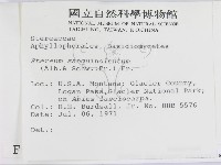 登錄號:F0000974藏品圖，第2張