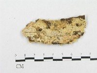 登錄號:F0000976藏品圖，第1張
