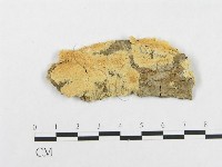 登錄號:F0000976藏品圖，第3張