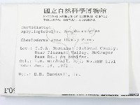 登錄號:F0000977藏品圖，第2張