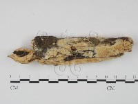 登錄號:F0000978藏品圖，第1張
