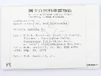 登錄號:F0000980藏品圖，第2張
