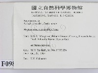 登錄號:F0000981藏品圖，第2張