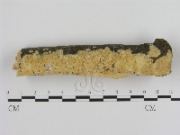登錄號:F0000981藏品圖，第1張