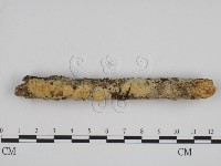 登錄號:F0000982藏品圖，第3張