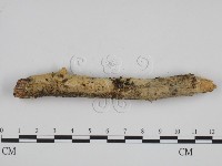 登錄號:F0000982藏品圖，第1張