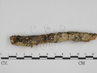 登錄號:F0000982藏品圖，第4張