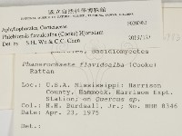 登錄號:F0000983藏品圖，第2張