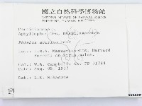 登錄號:F0000984藏品圖，第2張