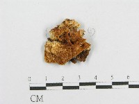 登錄號:F0000984藏品圖，第1張