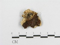 登錄號:F0000984藏品圖，第3張