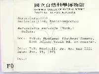 登錄號:F0000985藏品圖，第2張