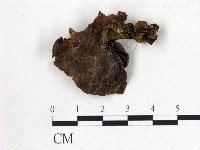 登錄號:F0000985藏品圖，第1張