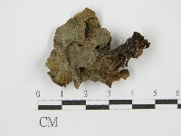 登錄號:F0000985藏品圖，第5張