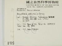 登錄號:F0000986藏品圖，第2張