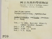 登錄號:F0000988藏品圖，第2張