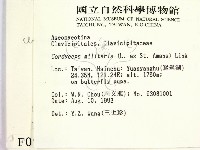登錄號:F0000989藏品圖，第2張