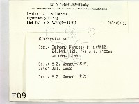 登錄號:F0000991藏品圖，第2張