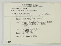 登錄號:F0000992藏品圖，第2張