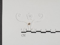 登錄號:F0000992藏品圖，第1張