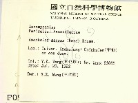 登錄號:F0000995藏品圖，第2張