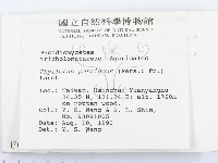 登錄號:F0000996藏品圖，第2張