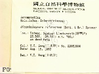 登錄號:F0000997藏品圖，第2張
