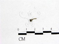 登錄號:F0000997藏品圖，第1張