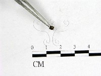 登錄號:F0000997藏品圖，第3張