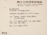登錄號:F0000998藏品圖，第2張
