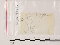登錄號:F0000998藏品圖，第1張