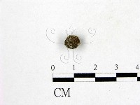 登錄號:F0000999藏品圖，第1張
