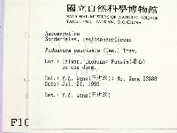 登錄號:F0001000藏品圖，第2張