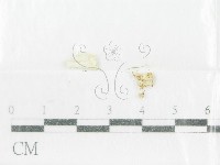 登錄號:F0001001藏品圖，第1張