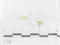 登錄號:F0001001藏品圖，第3張