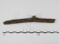 登錄號:F0001002藏品圖，第1張