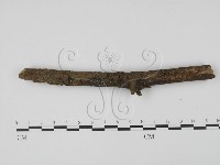 登錄號:F0001002藏品圖，第3張