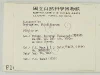 登錄號:F0001003藏品圖，第2張
