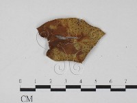 登錄號:F0001003藏品圖，第1張