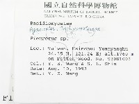 登錄號:F0001005藏品圖，第2張