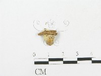 登錄號:F0001005藏品圖，第3張