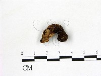 登錄號:F0001006藏品圖，第3張