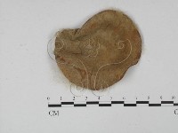 登錄號:F0001008藏品圖，第3張