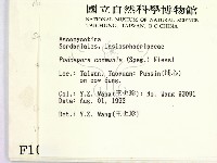 登錄號:F0001009藏品圖，第2張