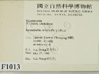 登錄號:F0001013藏品圖，第2張